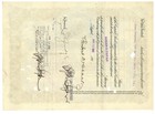 Lake Copper Company  Stock Certificate  Michigan  S b William Paine  1916