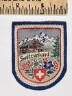 Vtg 50s Switzerland Chalet Mountains Edelweiss Travel Patch Souvenir Embroidered