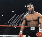 Mike Tyson Signed autographed 16x20 Photo Boxing Champ Framed Steiner Xhc86