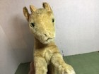 Vintage Older Steiff Goat With Horns 11 5    Ear Button As Is