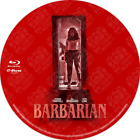 Barbarian  2022  Blu -  New