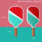 Fiberglass Pickleball Set Of 4 With Premium Paddles  6 Balls And Bag - Racket   