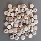 500 Pcs Soprano Clarinet Leather Pads Great Material Clarinet Accessories