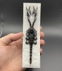 Javanimetrus Cyaneus Scorpion Specimen Unmounted Insect Heterometrus Arachnid