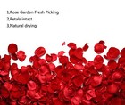 Dried Rose Petals 100g Natural Real Red Flower Spa Bath Wedding Confetti Decor