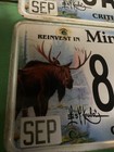 Minnesota Mn Critical Habitat Moose License Plate Matching Set 8ab212 Rare Used