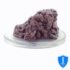 Swarm Of Rat Flesh - Stranger Things  14 D d Prepainted Miniature