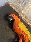 Vintage Hand Carved Wood And Hand Painted Parrot Bird Life Size