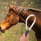 Horse Hair Brush Durable Shedding Shave Grooming Tool