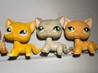Littlest Pet Shop Dog   Cat Figures Lot - 5 Assorted Animal Toys