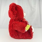 Dan Dee Red Sweetheart Teddy Bear Two Hearts One Love 2010 19  Plush Valentine
