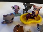 Lot Of 13 Littlest Pet Shop Farm Nature Animals Pigs Hamsters  Skunk Grehound