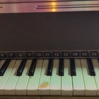 Magnus Chord Organ Model 440  1965  Portable Organ W  Keyboard   Chord Buttons
