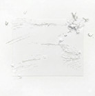 3x5    Premium Eggshell Sticker  Thrushfit Mailer 100