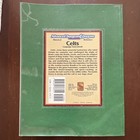 Celts Campaign Sourcebook Advanced Dungeons   Dragons 9376 1992