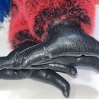 Folkmanis Scarlet Red Macaw Parrot Hand Puppet 16  Plush Stuffed Animal Toy
