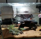 Artificial Fish Tank Plants Silk Aquarium Plant Aquatic Water Grass Foregroun   