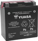 Yuasa Ytx20ch-bs High Performance Agm Battery     Fits Powersports   Motorcycles