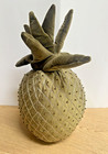 Oi San Francisco Plush Velvet Rare Green Pineapple 16  Fruit Accent Pillow