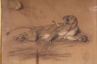 Briton Rivi  re  R a    1840-1920   Lion Antique Drawing  Sotheby   s