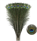 Natural Long Peacock Feathers 40pcs 23-28in For Decorations  Floral Arrangements