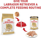 Royal Canin Breed Health Nutrition Labrador Retriever Adult Dry Dog Food - New