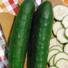 Marketer Cucumber  Slicing  cucumis Sativus  Vegetable Seeds  Early Maturity