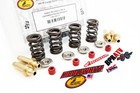 Honda Trx 400ex Xr400 Kibblewhite Valve Spring Kit Bronze Valve Guides Red Seals