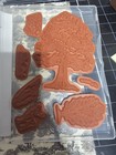 Stampin  Up  Autumn Trees Stamp Set   Dies   Autumn Toile Designer Series Paper