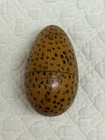Antique Treen Ware Speckled Or Spotted Egg Thimble Case Sewing Trinket Box