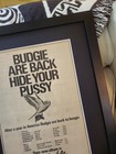 Budgie impeckable original vintage 1978 uk Tour rare promo poster advert framed 
