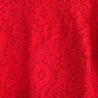 J Crew Red Lace Dress Romantic Evening Cocktail Party Sz 12 Long Sleeve Shift