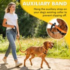 Training Slip Leash Dog Slip Lead Puppy Obedience Recall Training Lead 6 Ft Long