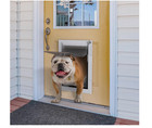 Pet Door For Wall With Lock And 3 Magnetic Flap System Metal Frame Large