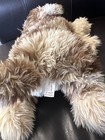 Fao Schwarz Plush Stuffed Dog Small 6-14 In Brown   Cream Shaggy Puppy 2008