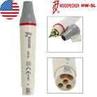 Woodpecker Dte Dental Ultrasonic Scaler Piezo Handpiece Hw-5l Hd-7l Tips G1 Gd1