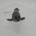 Schleich Harbor Seal Figure 14171 Retired 1999 Gray Wildlife Sea Animal W  Flag