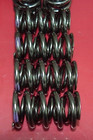 16 Psi Polished Roller Cam Valve Springs 1 330  O d  Purple Stripe  635  I d 