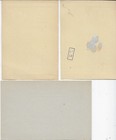 Suriname Postcards 12 1 2 C With Overprint Of 7 1 2 C 1879   10c Over 12-1 2