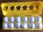 Kidzlane Match And Count Eggs Educational Learning Toy Free-ship