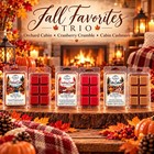Fall Wax Melts 3 Pack Bundle   Parasoy   Pick Any 3   Cozy Home Fragrance