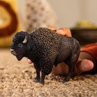 Wild Life - Large  5  North American Bison Figurine  Realistic  Hand-painted Har