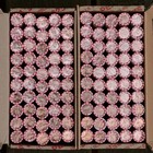 2025 P   D Penny Rolls - One Of Each   2 Free Flips - Unopened Bu Cent