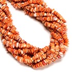 Natural Spiny Oyster Chips Shape Beads Size 5-6mm 7-8mm 8-10mm 16  Strand
