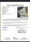 Ted Williams Hof Signed Autograph Auto 14 75x20  Color Print Red Sox Jsa      Loa