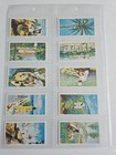 India And Ceylon Tea Island Of Ceylon 25 Card Set Near Mint