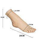Us Store23 8cm Silicone Feet Female Mannequin Feet Shoes Display Model Foot Soft