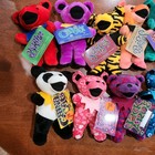 Grateful Dead 7    Bean Bears Set Of 13 W  Collector Card Nwt