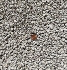 11 Gallons 3 8  Horticultural Pumice Garden  Rock Soil Amendment Cactus  Bonsai