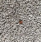 7 Gallons 3 8  Horticultural Pumice Rock Soil Amendment Succulents Cacti Bonsai